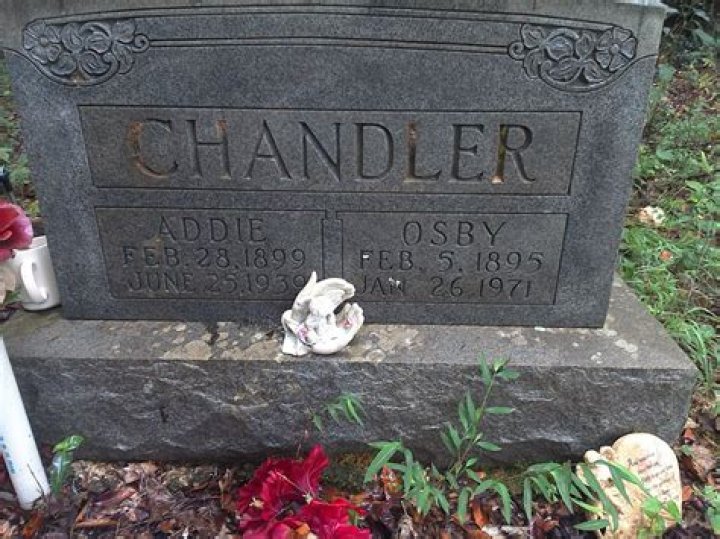 Addie Chandler Career, Profession & Net worth