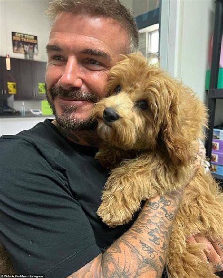 Beckham with his pet dog