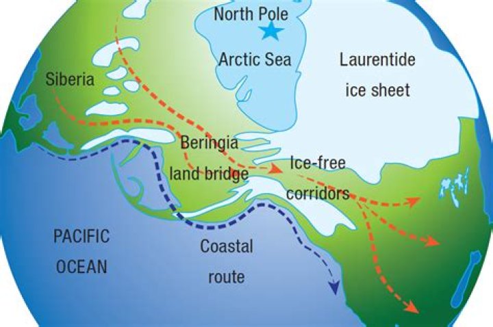 Bering Strait Migration Pattern
