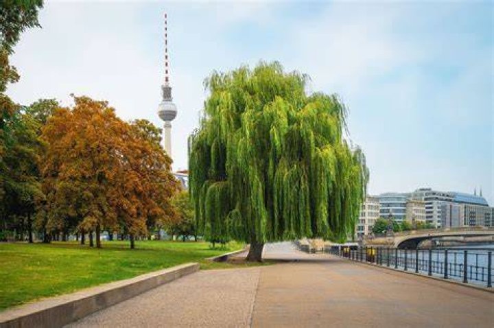 Berlin Park