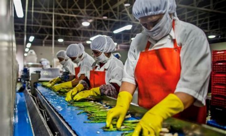 Big Industries The Food Industry