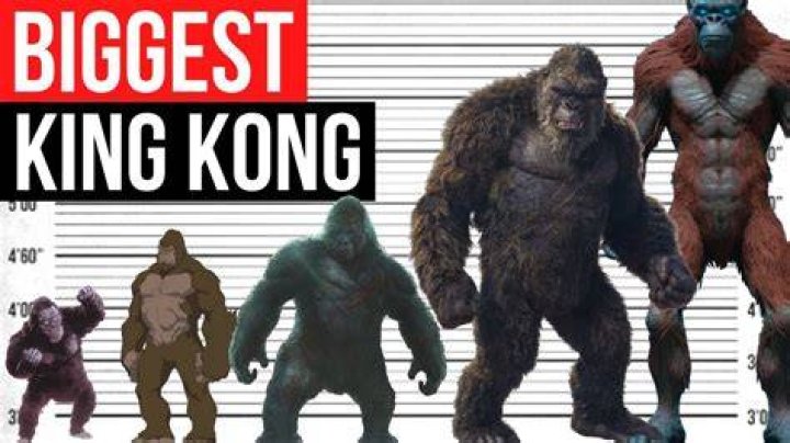 Biggest Psychos In History King Leopold
