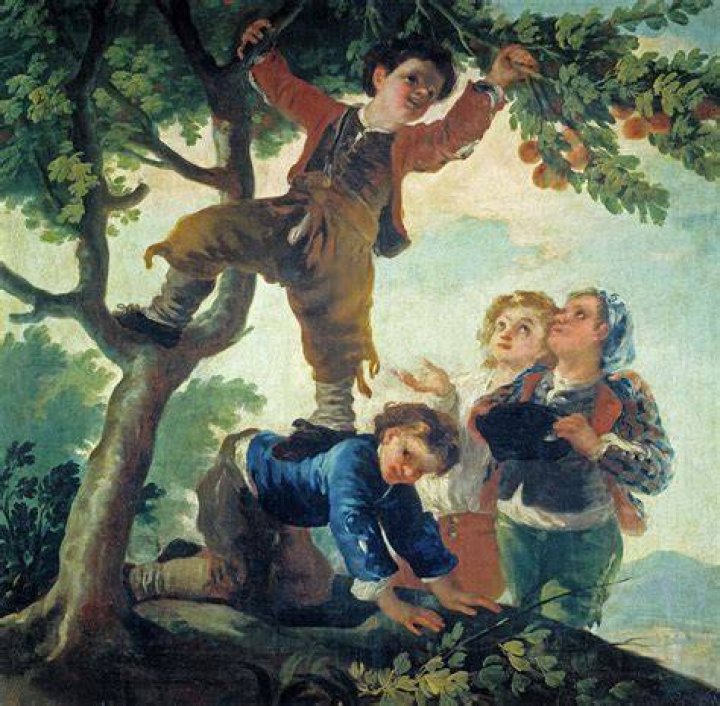 Boys Picking Fruit By Goya