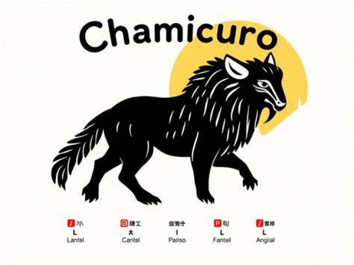Chamicuro