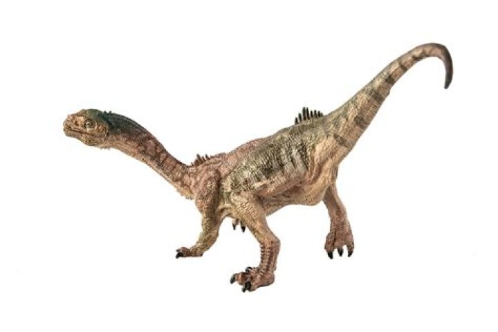 Chilesaurus Full
