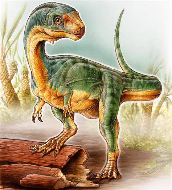 Chilesaurus Up