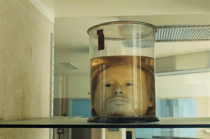 Diogo Alves Head In A Jar