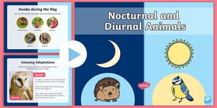 diurnal nocturnal