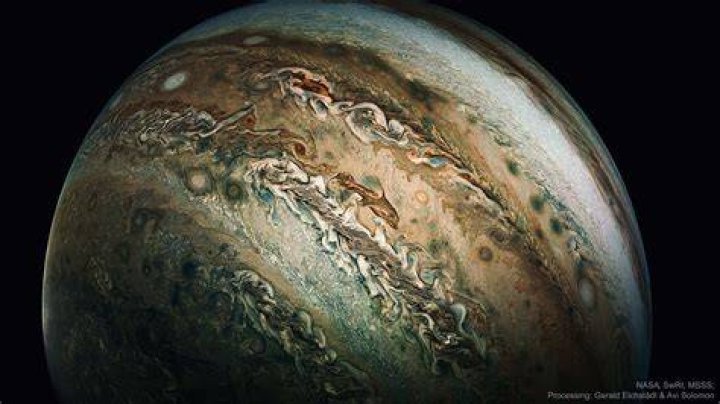 Dolphin Jupiter