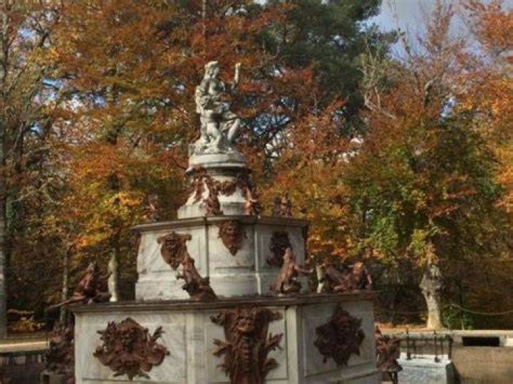 Fall Granja Frogs Fountain