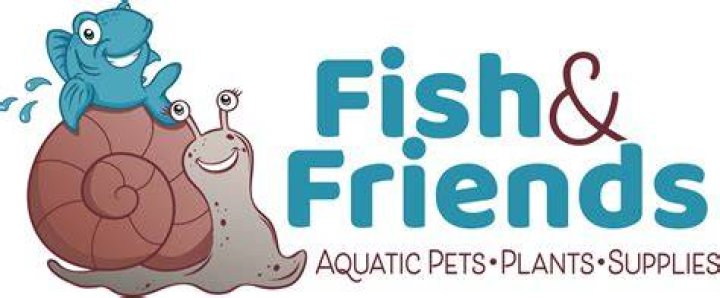 Fish with her friends