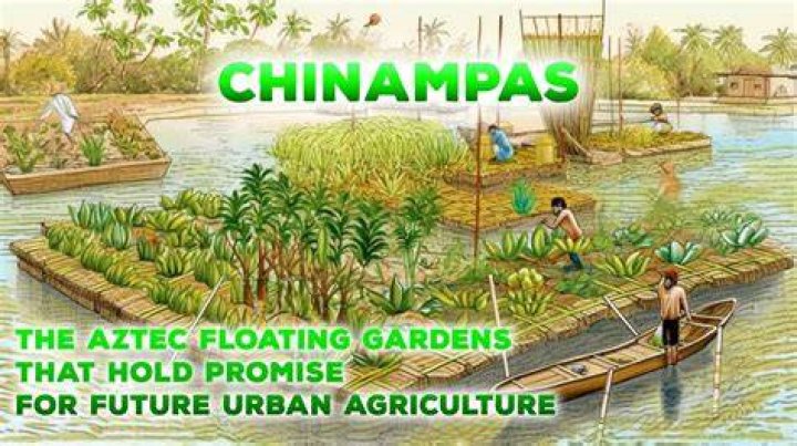 Floating Gardens