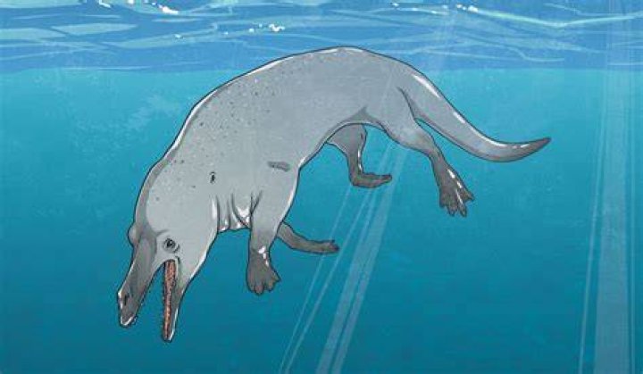 Four Legged Whale
