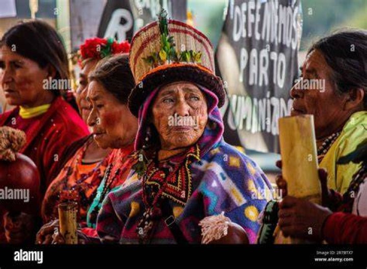 Guarani Kaiowa Woman