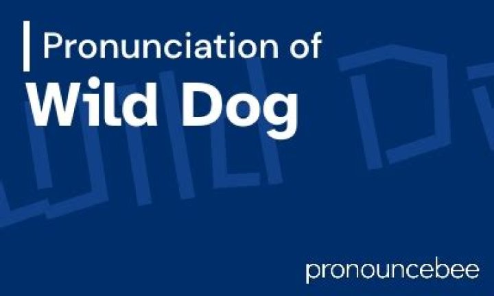 How to pronounce wild