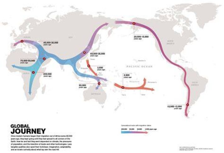 Human Migration Map