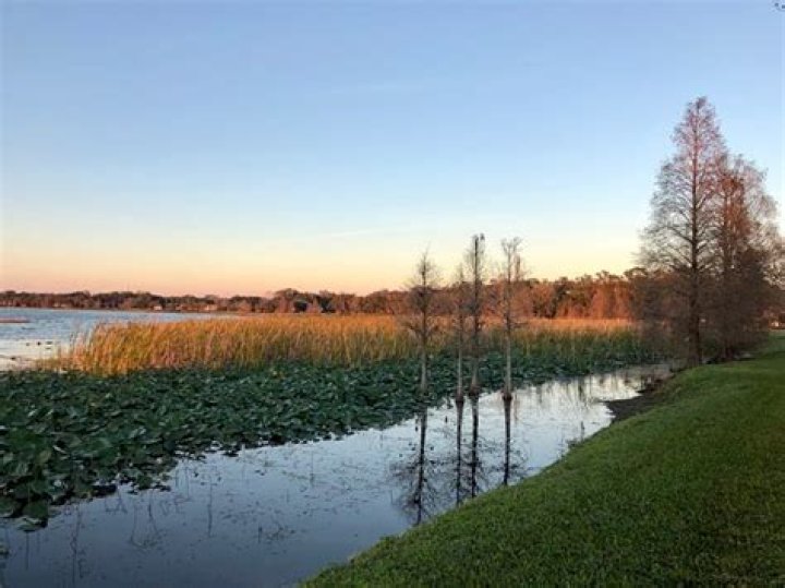 Lake Hollingsworth Park Area