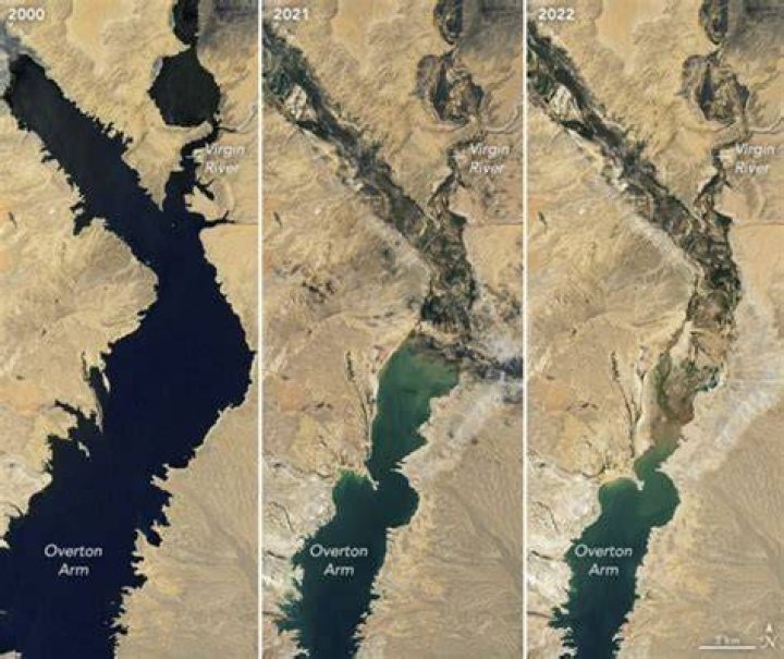 Lake Mead Water Level