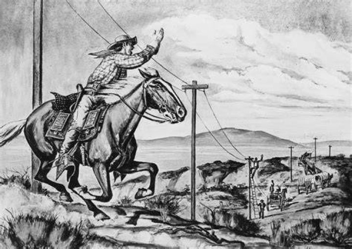 Man Riding Under Telegraph Wire
