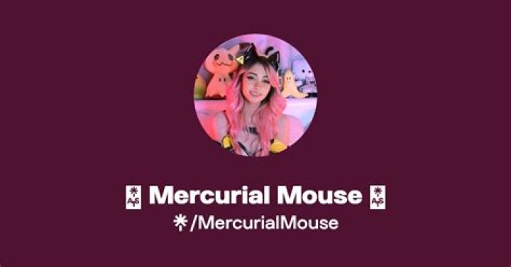 Mercurial Mouse estimated Instagram earning