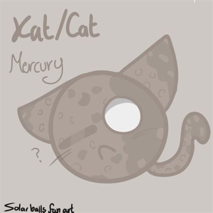 Mercury Holding Cat