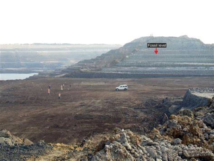 Mine Where Fossils Were Found