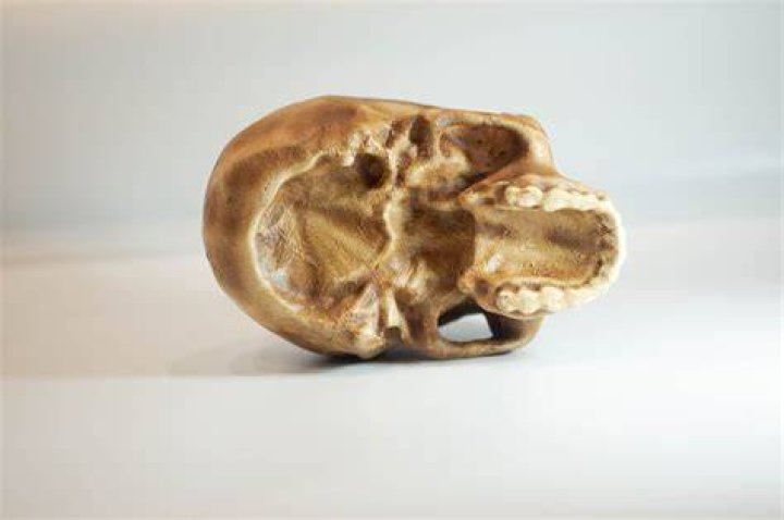 Neanderthal Skull And Virtual Model