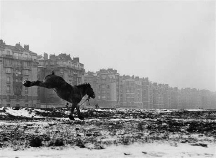Paris 1952 2
