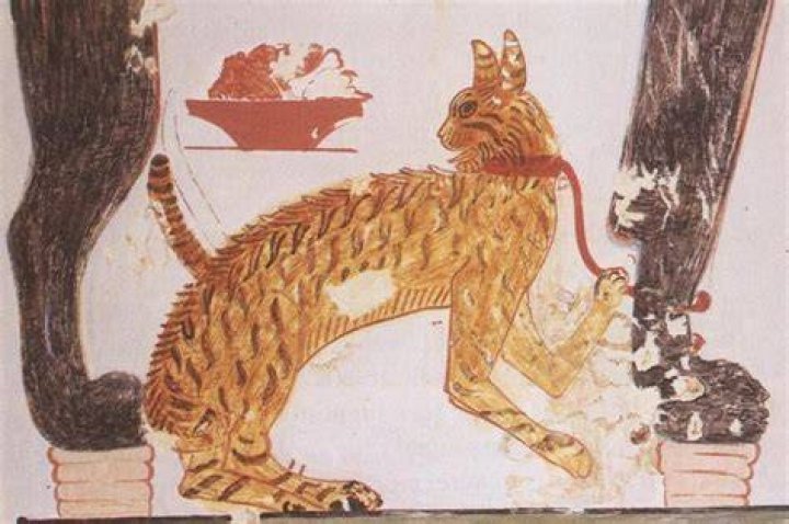 Pets In Ancient Egypt