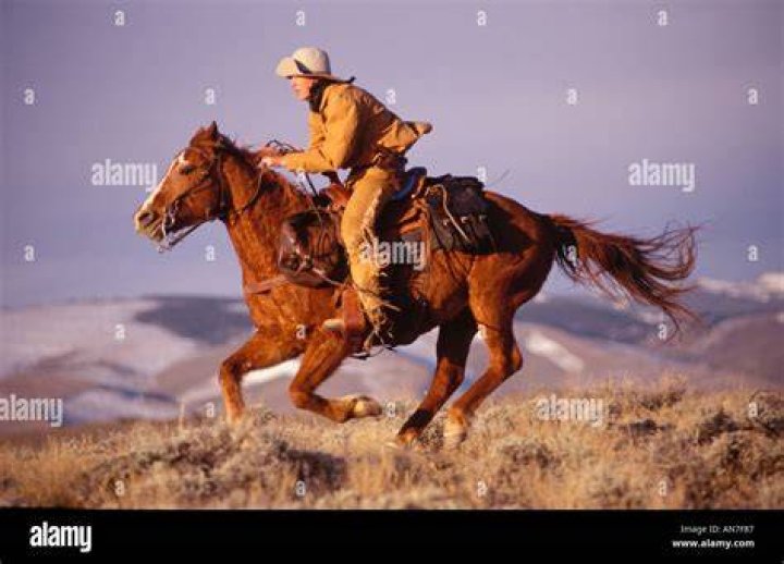 Pony Express Rider