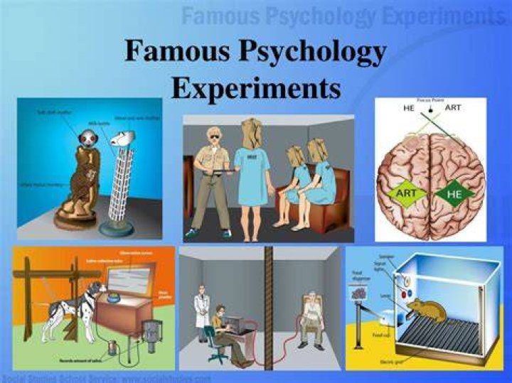 Psychology Experiments