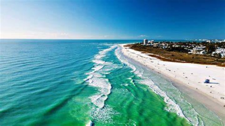 Siesta Key's Madisson Hausburg and Ish Soto Pregnant, Baby No. 1