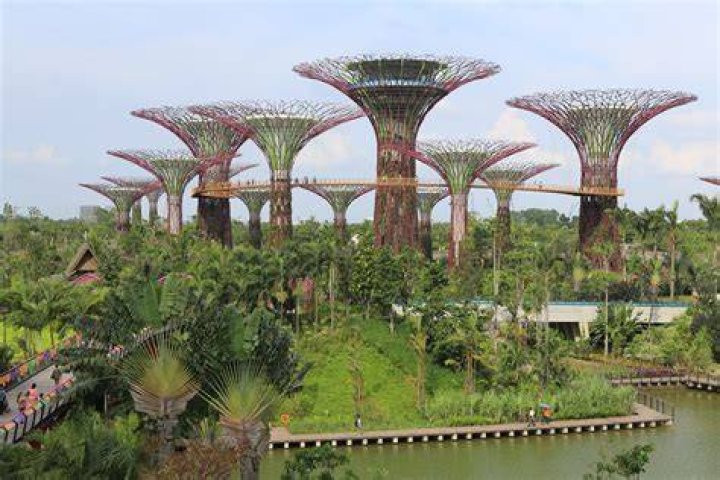 Singapore Gardens