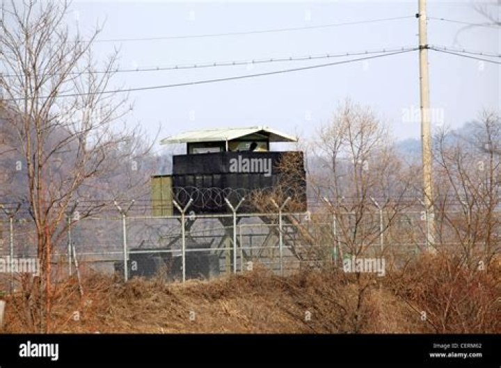 South Korean Dmz Sentry
