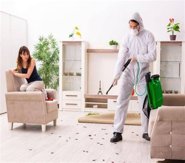 The Phobia of Cleaning