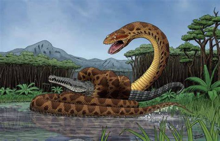 Titanoboa