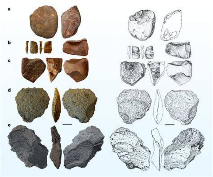 Tools Found At Korolevo
