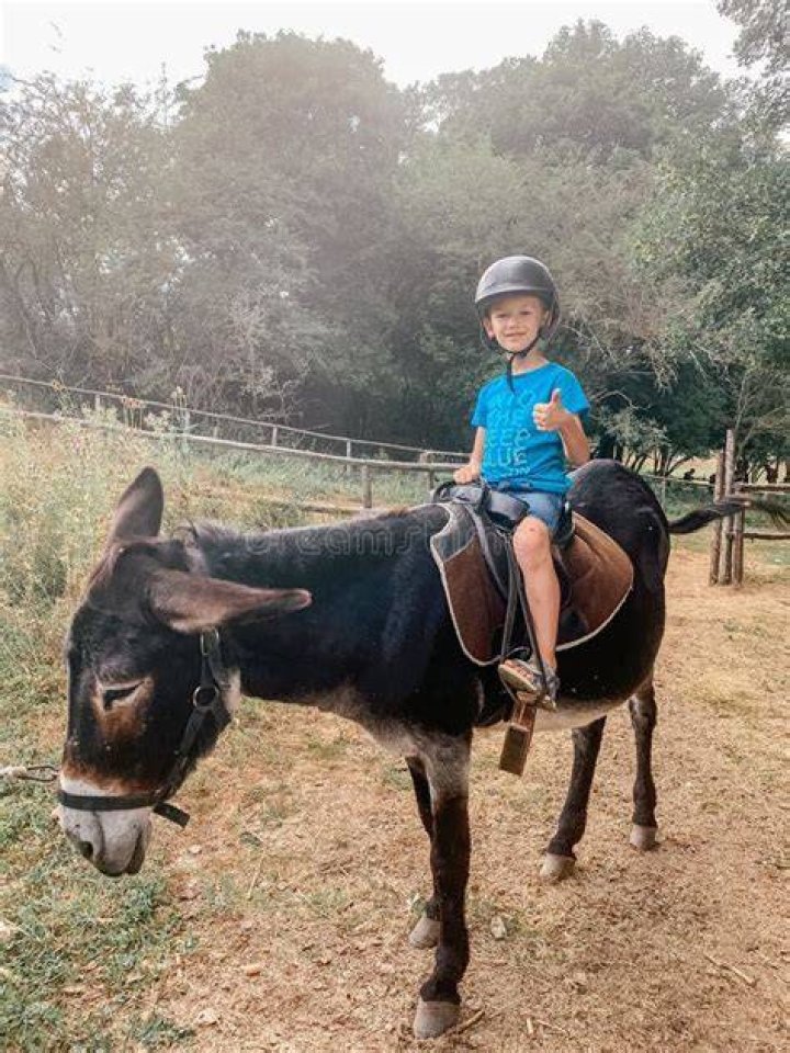 Tourist rides a Donkey