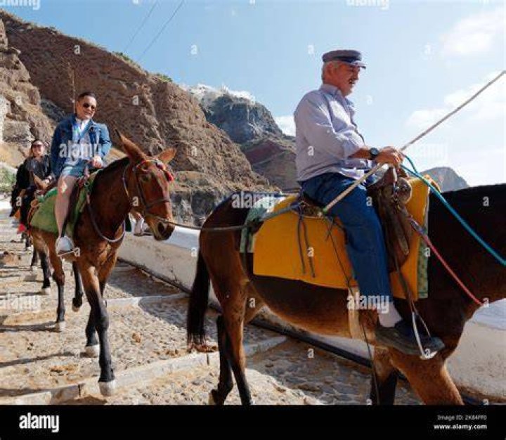 Tourists On Donkeys