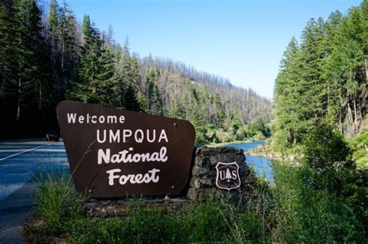 Umpqua National Forest