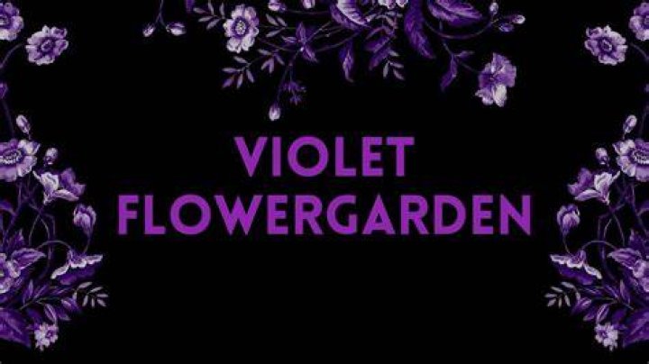 Violet Flowergarden