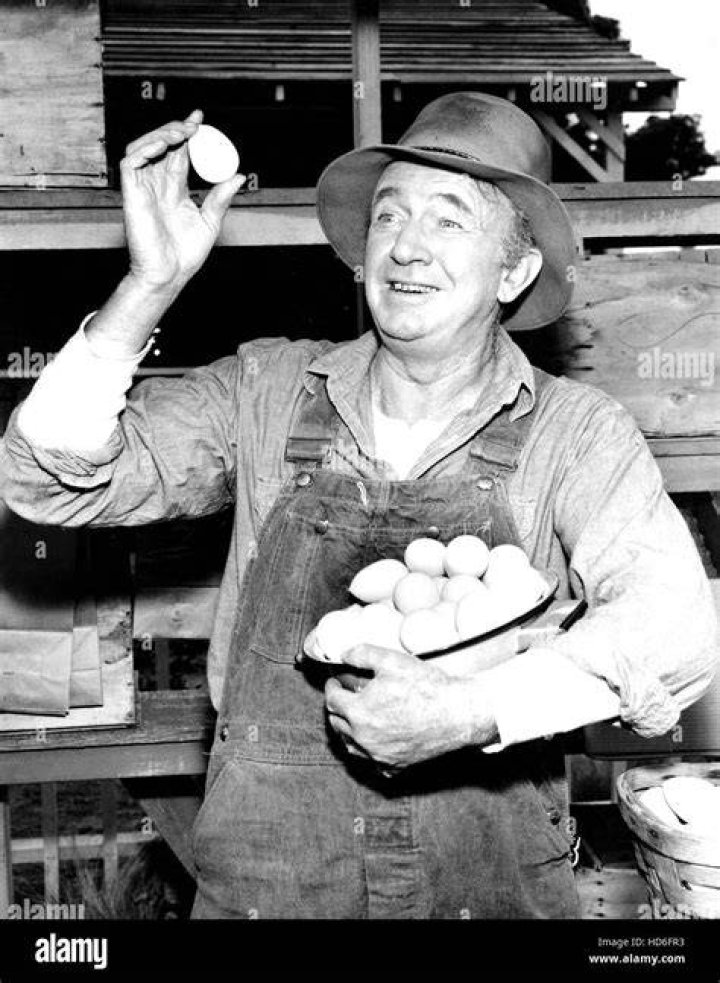 Walter brennan real mccoys 1958